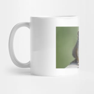 Squirrel Facing Mug